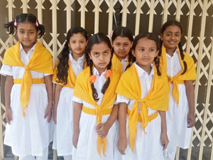 হলদে পাখির ড্রেস